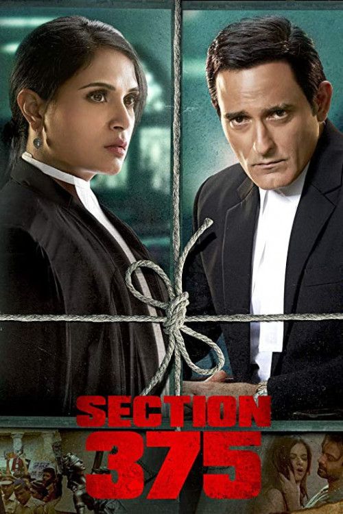 Section 375 2019 4507 Poster.jpg