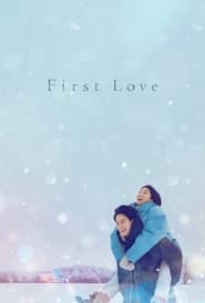 First Love 2022 Hindi Season 1 Complete Netflix 29518 Poster.jpg