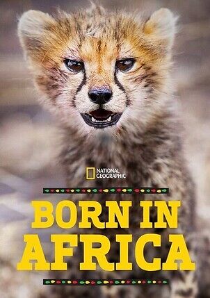 Born In Africa 2019 Season 1 Hindi Complete 30938 Poster.jpg