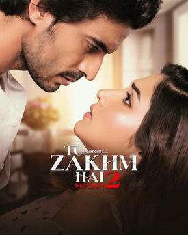 Tu Zakhm Hai 2023 Hindi Season 2 Complete 37244 Poster.jpg